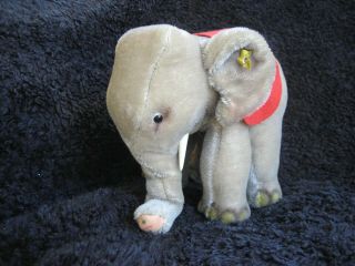 Rare 1959/67 German Steiff Elephant W.  All Id