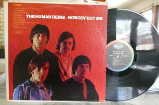 The Human Beinz / Nobody But Me Garage Psych Capitol Lp Rare