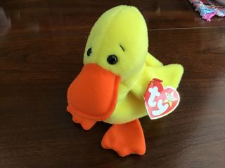 Rare Ty Beanie Baby Quackers The Duck Retired 1994 Pvc Plush Toy Pre - Owned W/tag