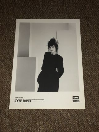 Kate Bush - Rare 1994 Emi Records Photo.  Wuthering Heights