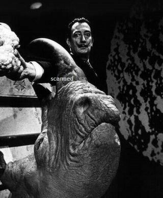 Salvador Dali Surreal Artist Rhino Rare Candid 8x10 Photograph