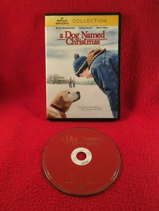 A Dog Named Christmas Dvd Ex - Rental Noel Fisher 2009 Greenwood Region 1 Usa Rare