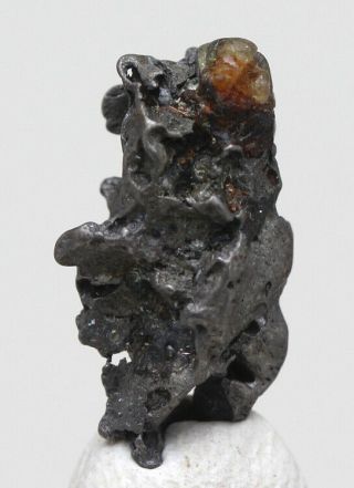 Rare Admire Iron Meteorite Pallasite Skeleton Olivine Specimen Meteor Kansas