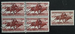 Rare 1964 Australia Blk 4x5/ - Brn Red Cattle Industry Stamps White Ppr G Nsw Prf