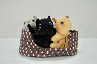 Folkmanis 3 Kittens In A Basket Hand Finger Puppet Retired Rare Plush Nwt