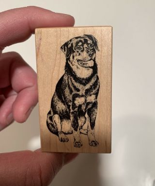 Rare Psx E - 548 Sitting Rottweiler Dog Animal Rubber Stamp 7914