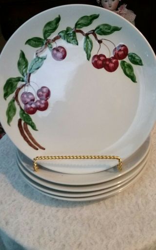 6 Rare Vintage Orchard Ware Dinnerware Cherry Pattern Dinner Plates 1950s
