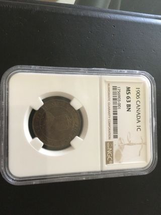 Canada Canadian Large Cent NGC Ms63BN 1906 Rare 2