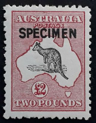 Rare 1919 - Australia £2.  00 Grey Black&crimson Kangaroo Stamp 3rd Wmk B Specimen