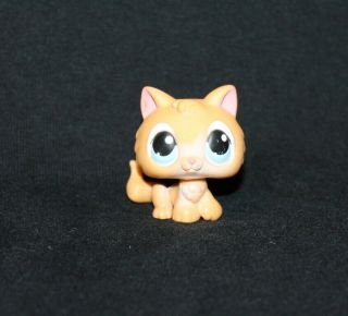 Littlest Pet Shop Lps Orange Kitten 47 Blue Eyes Rare Cat Kitty Tail (ktn03)