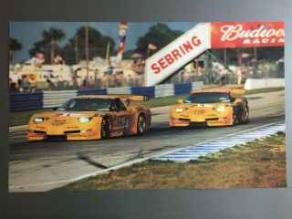 2002 Corvette 12 Hours Of Sebring Race Car Print,  Picture,  Poster Rare Awesome