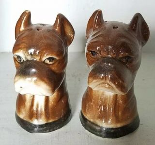 Vtg Boxer Dog Puppy Head Salt And Pepper Shakers Rare American Bulldog Terrier