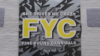 Fine Young Cannibals - She Drives Me Crazy (rare) Uk 12 "