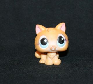 Littlest Pet Shop Lps Orange Kitten 47 Blue Eyes Rare Cat Kitty Tail (ktn01)
