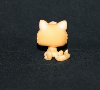 Littlest Pet Shop LPS Orange KITTEN 47 Blue Eyes RARE Cat Kitty Tail (KTN01) 3