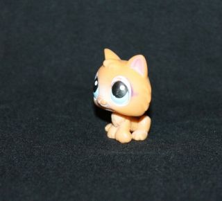 Littlest Pet Shop LPS Orange KITTEN 47 Blue Eyes RARE Cat Kitty Tail (KTN01) 4