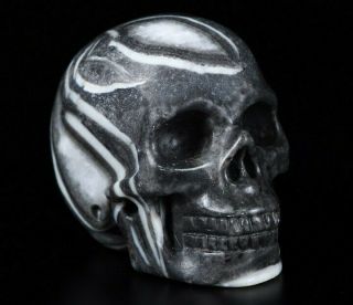 2.  0 " Rare Fossil Carved Crystal Skull,  Realistic,  Crystal Healing