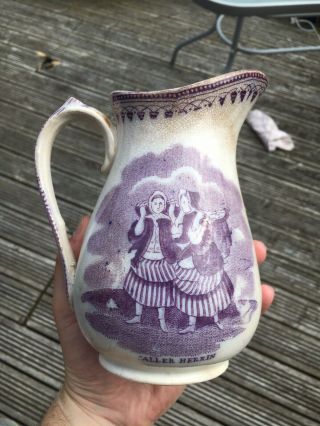 Rare 19th Century Scottish Pottery Staffordshire Transferware Jug Caller Herrin