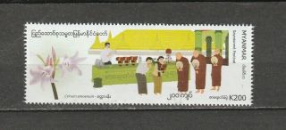 Burma Stamp 2019 Issued Sayetanme Festival Single Mnh,  Rare