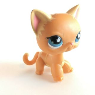 Authentic Rare Lps Siamese Kitty Hasbro Littlest Pet Shop 525