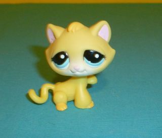 Littlest Pet Shop Yellow Kitten Cat W Turquoise Blue Eyes Paw Up 1035 Rare