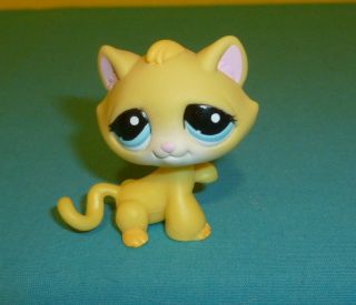 Littlest Pet Shop Yellow Kitten Cat w Turquoise Blue Eyes Paw up 1035 Rare 2