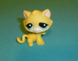 Littlest Pet Shop Yellow Kitten Cat w Turquoise Blue Eyes Paw up 1035 Rare 3
