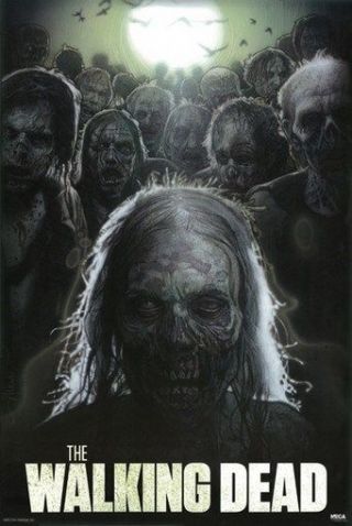 The Walking Dead Poster Scarry Rare Hot 24x36