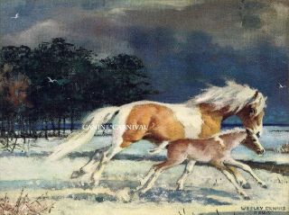Rare Image Chincoteague Pony Misty & Son Foal Xmas Or Note Card Wesley Dennis