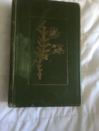 Flowers Of The Field By Rev.  C.  A.  Johns / C.  Elliott - 1909 Vintage Book - Rare