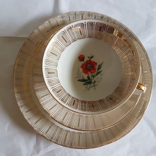 Rare Vintage Winterling Marktleuthen China Bavaria Trio Cup Saucer Tea Plate
