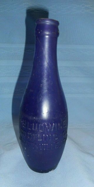 Rare Amethyst Advertising Dug Bottle Bludwine Bottling Jacksonville Fla 1906