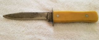 Vintage Imperial Rare Butterscotch Handle Fixed Blade Hunting Knife