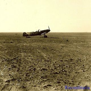 Port.  Photo: Rare Luftwaffe Me - 109 Fighter Planes Dsipersed In Open On Airfield