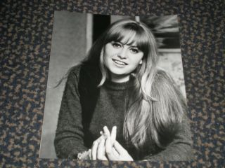 Susan George - Very Rare Early Photo Of The Straw Dogs Actress