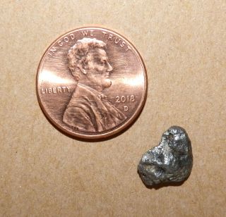 1.  52 Grams Extremely Rare Platinum Nugget From Alaska Better Than Gold