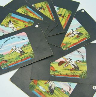 Rare Complete Set Of " 8 " Stereo Viewer Comic Child Cartoon Humorous Post Cards.  ?