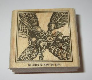 Blueberries Rubber Stamp Leaves Blueberry Stampin 