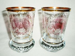 Rare 19th C BACCARAT Crystal Pair Wedding Beaker Cup w/ 3 Swan Medallions & Gold 3
