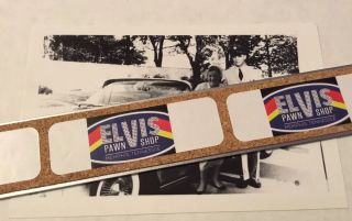 Elvis - Candid Photo / 1958 Graceland / Memphis / Rare