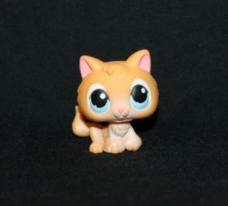 Littlest Pet Shop Lps Orange Kitten 47 Blue Eyes Rare Cat Kitty Tail (ktn05)