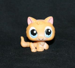 Littlest Pet Shop Lps Orange Kitten 47 Blue Eyes Rare Cat Kitty Tail (ktn04)