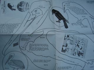 A.  Neely Hall Craft Pattern No.  721 Bird Cutouts Goose Crow Pelican Very Rare