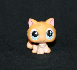 Littlest Pet Shop Lps Orange Kitten 47 Blue Eyes Rare Cat Kitty Tail (ktn02)