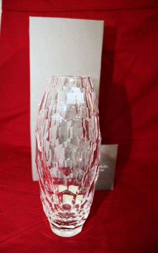 Waterford Monique Lhuillier Atelier 7.  5 - inch Crystal Vase Acid Etched Rare 2