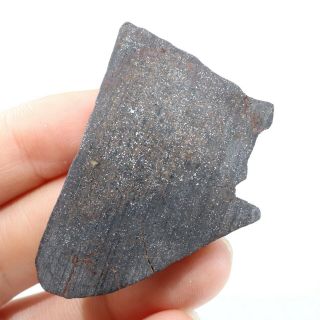 15g Rare Chondrite Meteorite Crust Meteorit Chondrit Slice Ql A3461