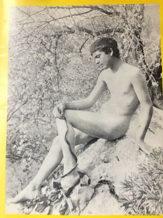 RARE Wilhelm von Gloeden Gay Interest Male Nude Erotica Ron Lentz 8