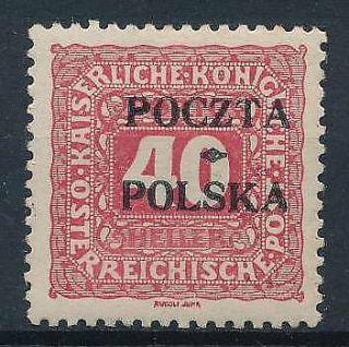 [38207] Poland 1919 Good Rare Postage Due Stamp Very Fine Mh Value $400