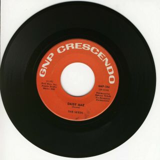 Seeds - Daisy Mae - Gnp Crescendo 354 - Rare 60 