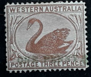 Rare 1893 - Western Australia 1d Surch On 3d Pale Brown Swan Stamp,  Variety